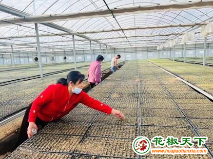 内蒙古达拉特