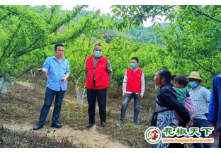 贵州贞丰：开展花椒高产培训 ()