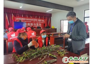 云南兰坪县花椒栽培技术送下乡 ()