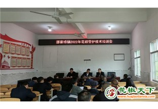 贵州铜仁奏响增产“椒”响曲 ()