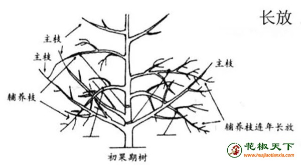 图片4