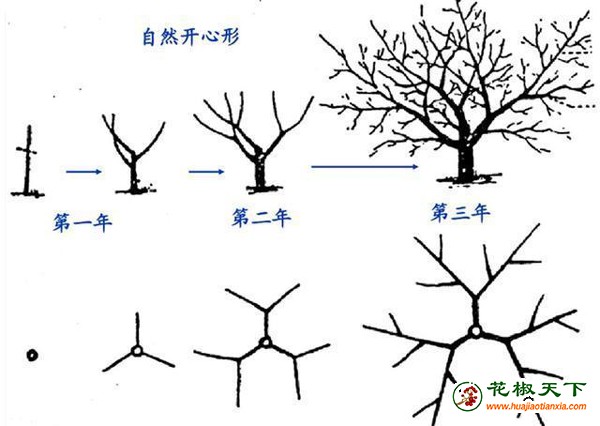 图片6