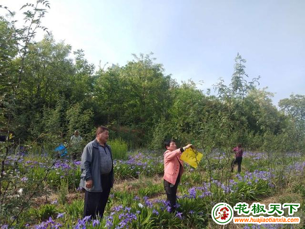 图片2