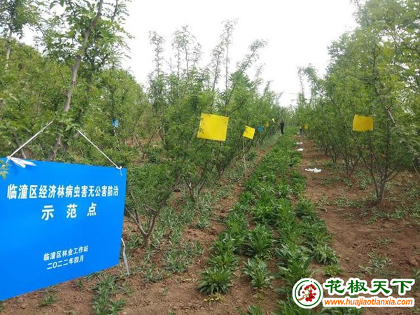 图片1