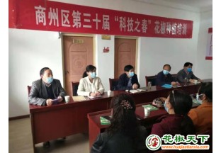 陕西商洛花椒专家下乡送技术 ()