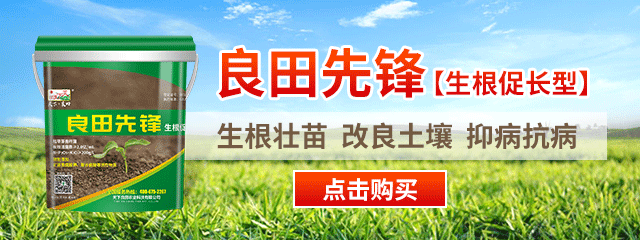 图片8