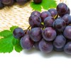 供应 夏季新鲜水果提子 公安巨峰葡萄