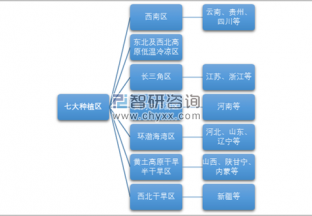 2017年我国葡萄总产量达1308.3万吨 ()